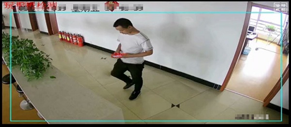 BVS玩手机识别系统