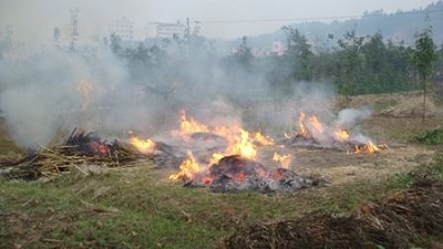 BVS智能视频分析-秸秆禁烧
